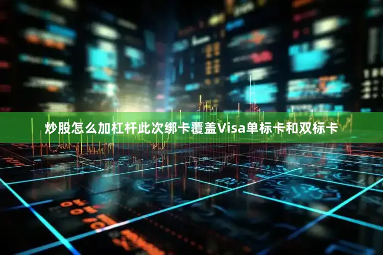 炒股怎么加杠杆此次绑卡覆盖Visa单标卡和双标卡