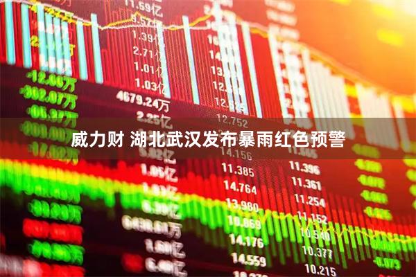 威力财 湖北武汉发布暴雨红色预警
